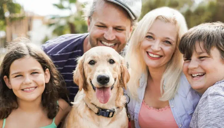 Pet Care and Training