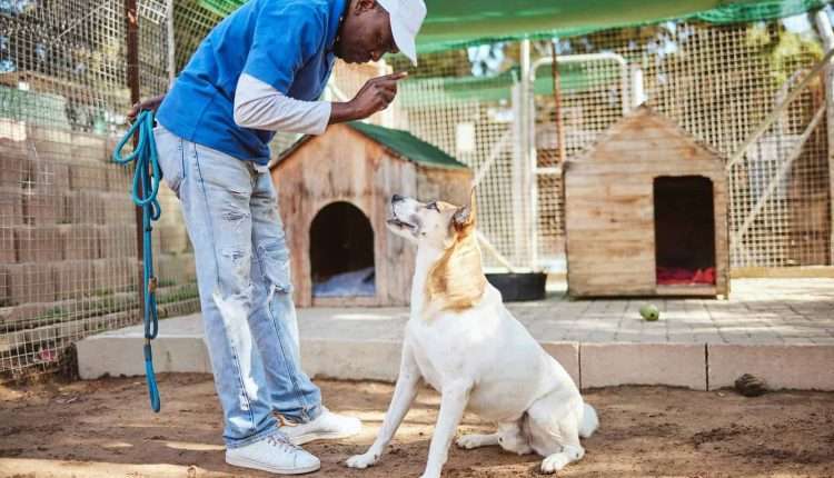 Reputable Pet Trainer