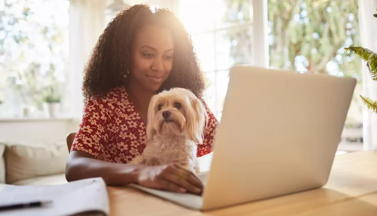 Pet Care and Training