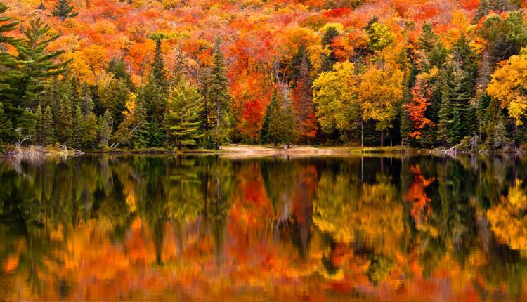 Top Places to Visit in the USA